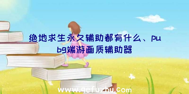 绝地求生永久辅助都有什么、pubg端游画质辅助器