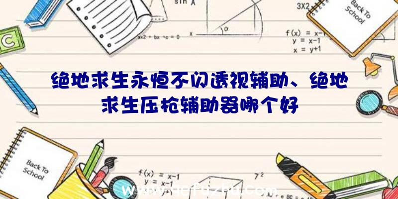 绝地求生永恒不闪透视辅助、绝地求生压枪辅助器哪个好