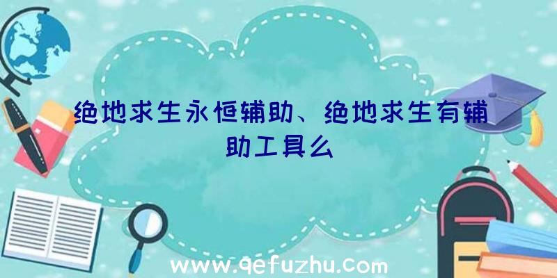 绝地求生永恒辅助、绝地求生有辅助工具么