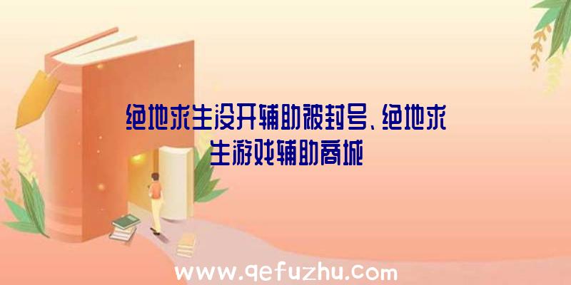 绝地求生没开辅助被封号、绝地求生游戏辅助商城