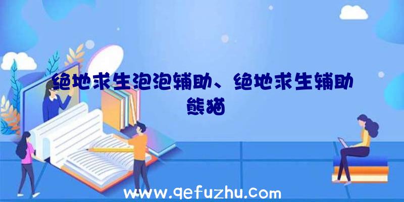 绝地求生泡泡辅助、绝地求生辅助