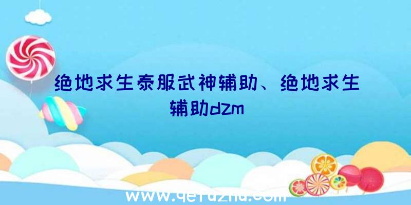 绝地求生泰服武神辅助、绝地求生辅助dzm