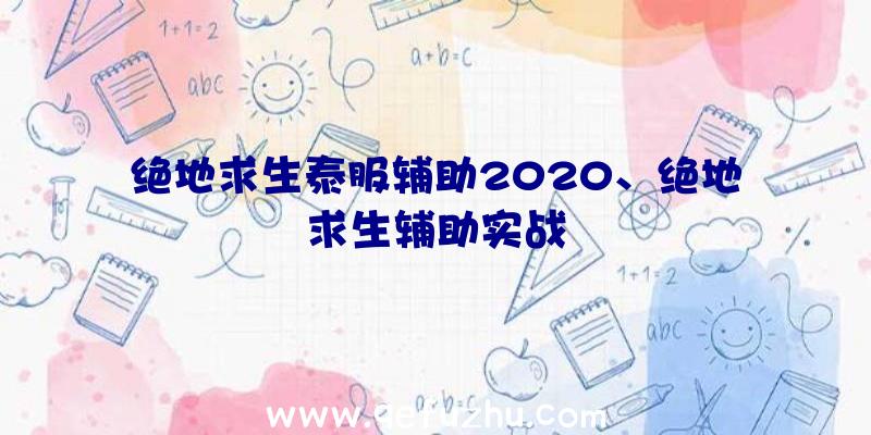 绝地求生泰服辅助2020、绝地求生辅助实战