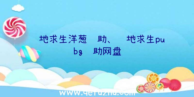 绝地求生洋葱辅助、绝地求生pubg辅助网盘