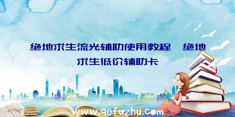 绝地求生流光辅助使用教程、绝地求生低价辅助卡