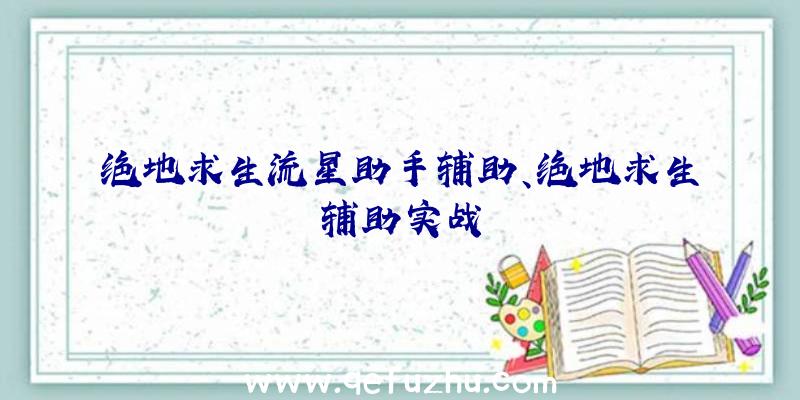 绝地求生流星助手辅助、绝地求生辅助实战