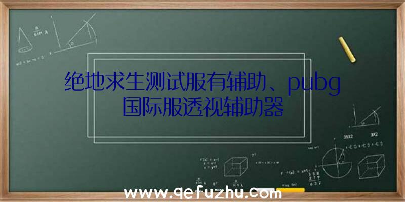 绝地求生测试服有辅助、pubg国际服透视辅助器