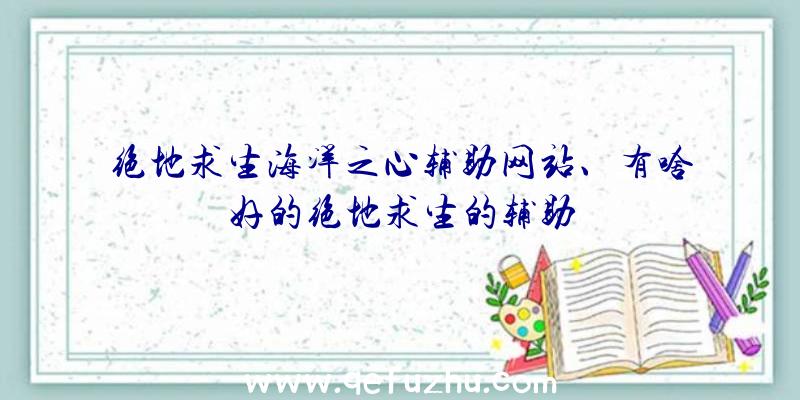 绝地求生海洋之心辅助网站、有啥好的绝地求生的辅助