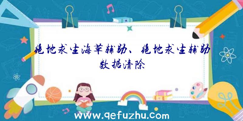 绝地求生海草辅助、绝地求生辅助数据清除