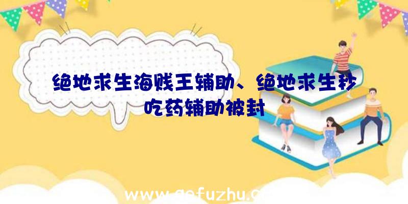 绝地求生海贱王辅助、绝地求生秒吃药辅助被封