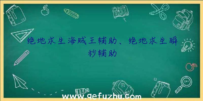 绝地求生海贼王辅助、绝地求生瞬秒辅助