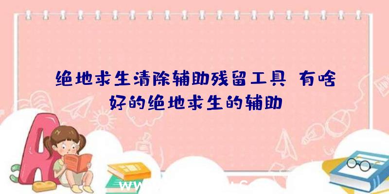 绝地求生清除辅助残留工具、有啥好的绝地求生的辅助