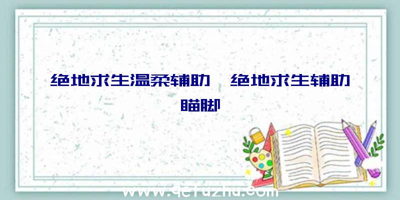 绝地求生温柔辅助、绝地求生辅助瞄脚