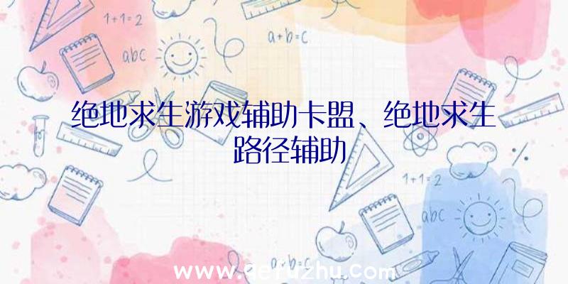 绝地求生游戏辅助卡盟、绝地求生