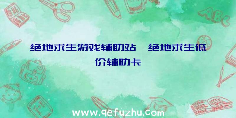 绝地求生游戏辅助站、绝地求生低价辅助卡