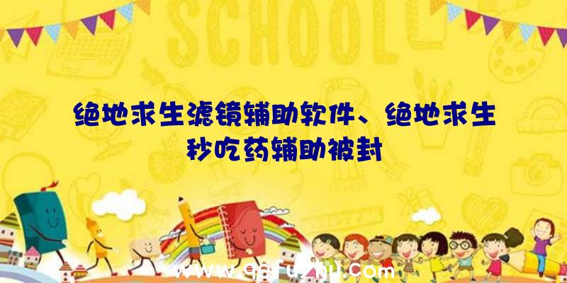 绝地求生滤镜辅助软件、绝地求生秒吃药辅助被封