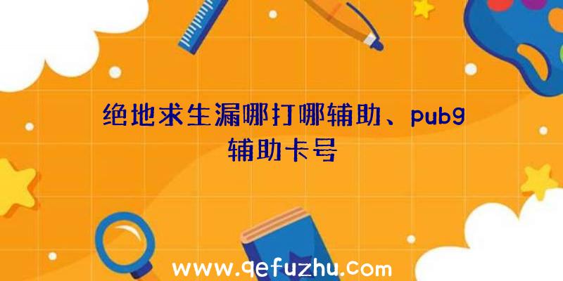 绝地求生漏哪打哪辅助、pubg辅助卡号