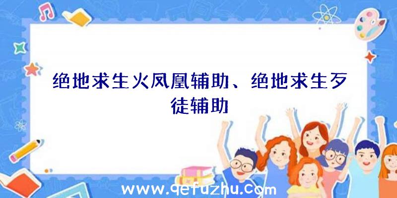 绝地求生火凤凰辅助、绝地求生歹徒辅助