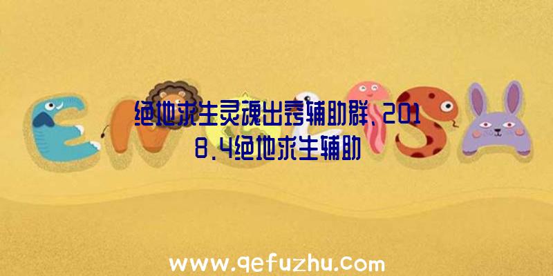 绝地求生灵魂出窍辅助群、2018.4绝地求生辅助