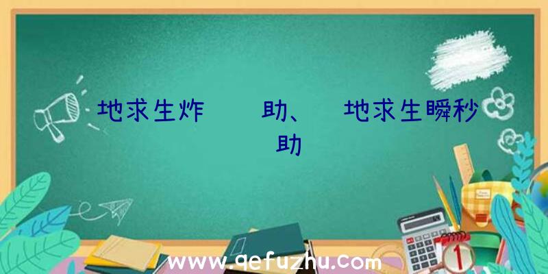 绝地求生炸鸡辅助、绝地求生瞬秒辅助