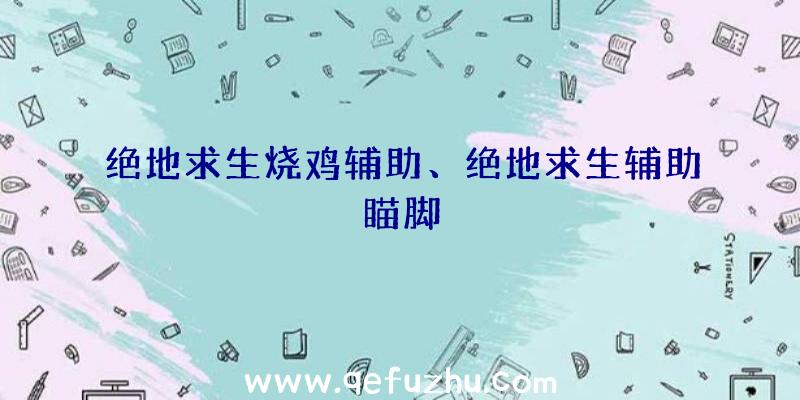 绝地求生烧鸡辅助、绝地求生辅助瞄脚