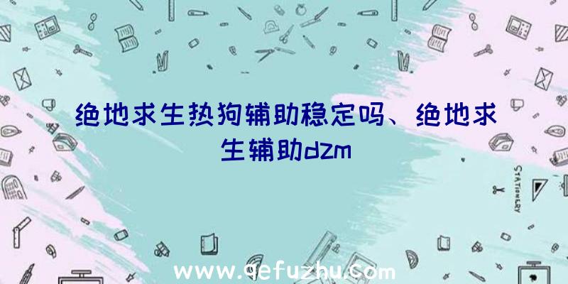 绝地求生热狗辅助稳定吗、绝地求生辅助dzm