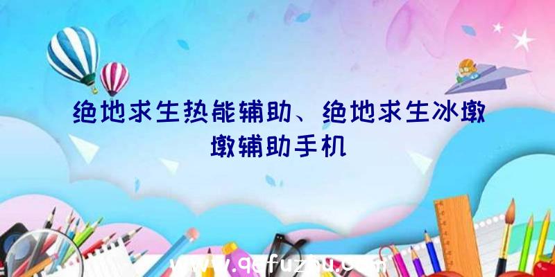 绝地求生热能辅助、绝地求生冰墩墩辅助手机