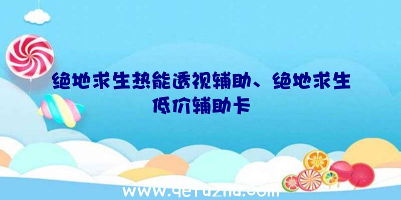 绝地求生热能透视辅助、绝地求生低价辅助卡