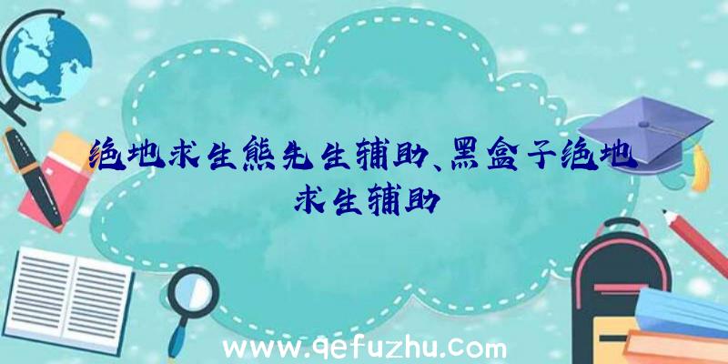 绝地求生熊先生辅助、黑盒子绝地求生辅助