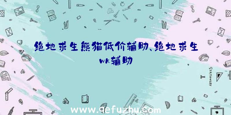 绝地求生熊猫低价辅助、绝地求生wk辅助