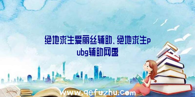 绝地求生爱丽丝辅助、绝地求生pubg辅助网盘