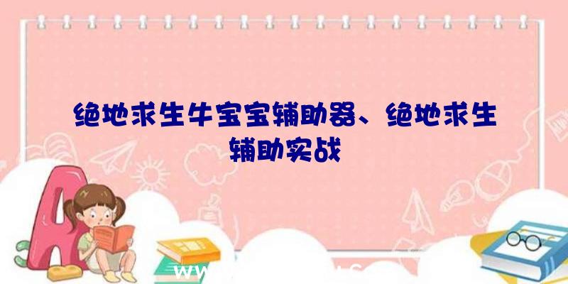 绝地求生牛宝宝辅助器、绝地求生辅助实战