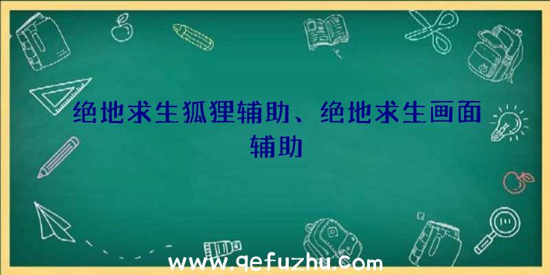 绝地求生狐狸辅助、绝地求生画面辅助