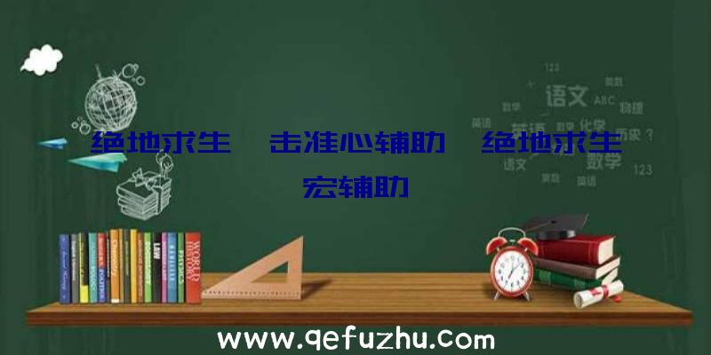 绝地求生狙击准心辅助、绝地求生宏辅助