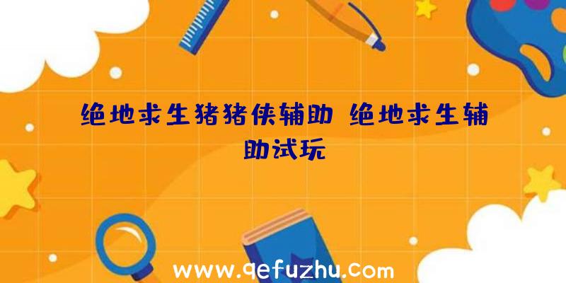 绝地求生猪猪侠辅助、绝地求生辅助试玩