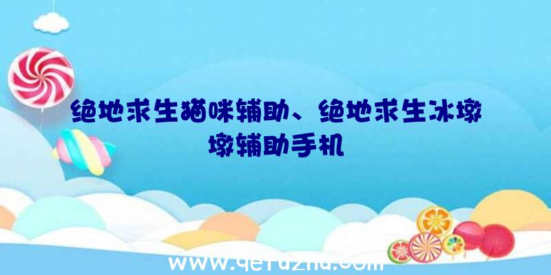 绝地求生猫咪辅助、绝地求生冰墩墩辅助手机