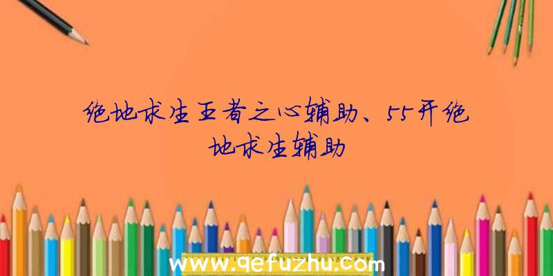 绝地求生王者之心辅助、55开绝地求生辅助