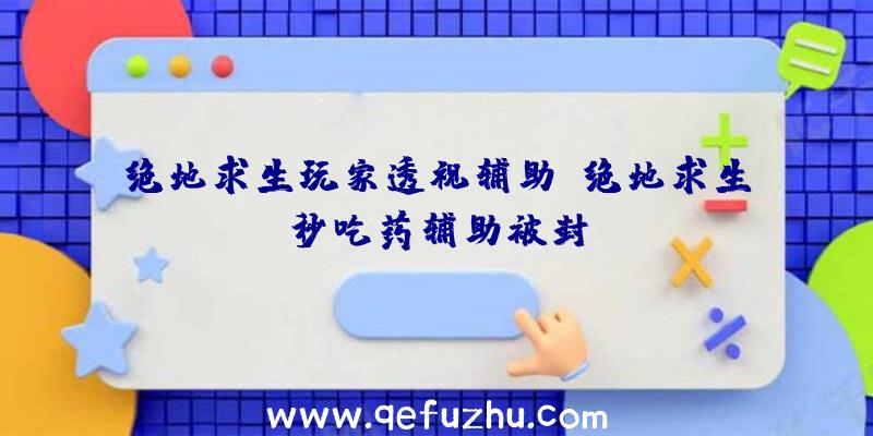 绝地求生玩家透视辅助、绝地求生秒吃药辅助被封