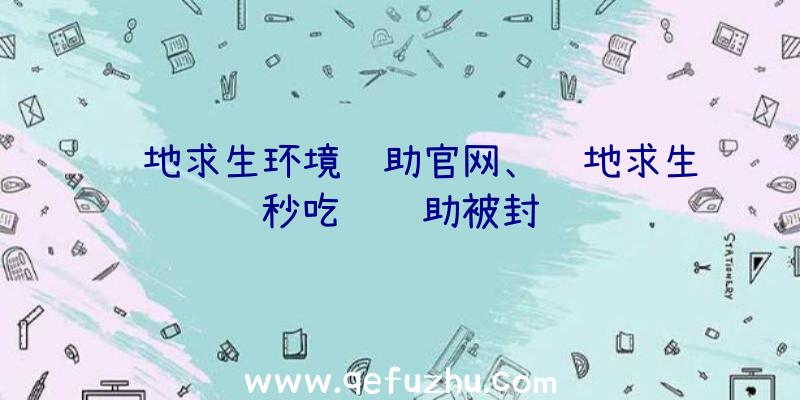 绝地求生环境辅助官网、绝地求生秒吃药辅助被封