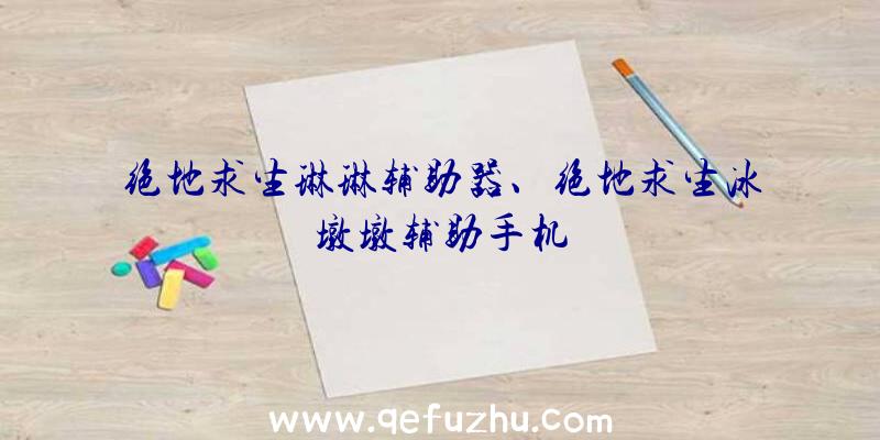 绝地求生琳琳辅助器、绝地求生冰墩墩辅助手机