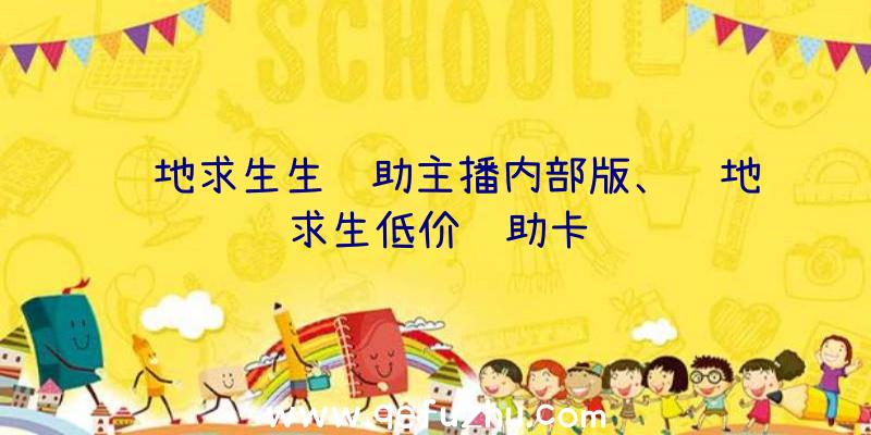 绝地求生生辅助主播内部版、绝地求生低价辅助卡