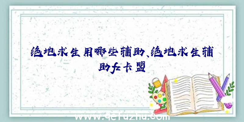 绝地求生用哪些辅助、绝地求生辅助fz卡盟