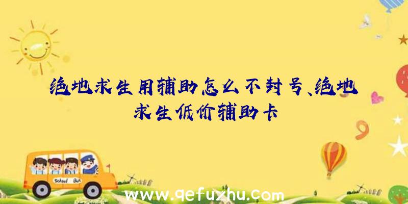 绝地求生用辅助怎么不封号、绝地求生低价辅助卡