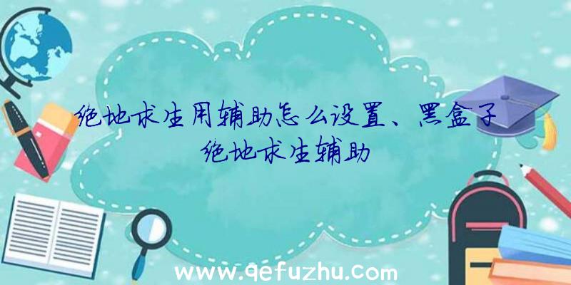 绝地求生用辅助怎么设置、黑盒子绝地求生辅助