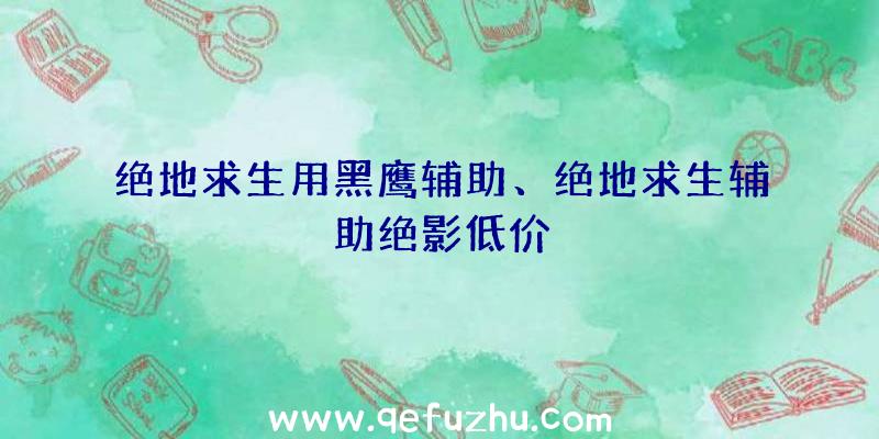 绝地求生用黑鹰辅助、绝地求生辅助绝影低价