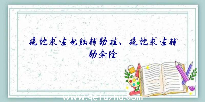 绝地求生电脑辅助挂、绝地求生辅助索隆