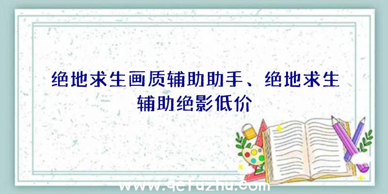 绝地求生画质辅助助手、绝地求生辅助绝影低价