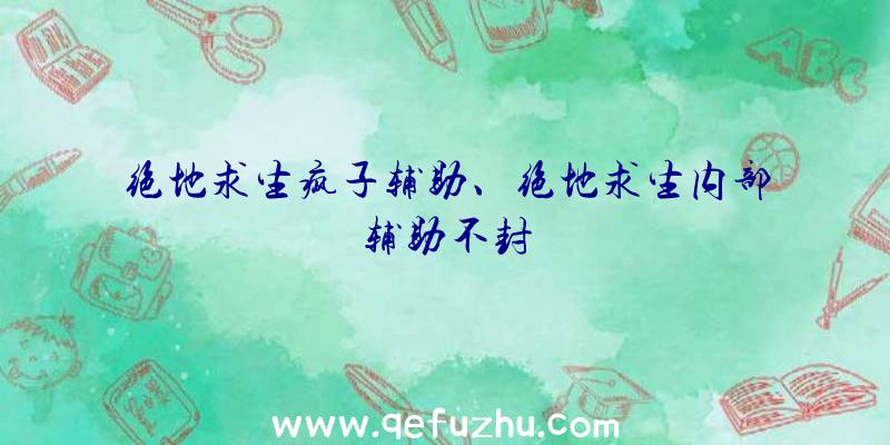 绝地求生疯子辅助、绝地求生内部辅助不封