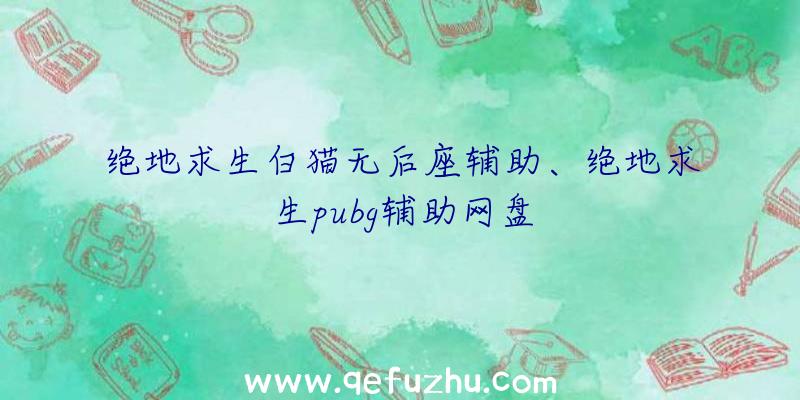 绝地求生白猫无后座辅助、绝地求生pubg辅助网盘