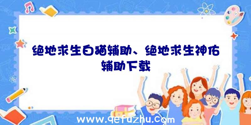 绝地求生白猫辅助、绝地求生神佑辅助下载